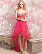 Coya Collection