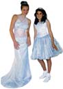 Cinderellas blue dresses